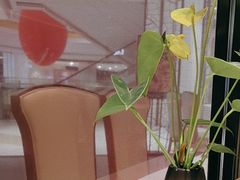 -眉州东坡(鸿坤店)