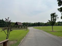 -上海滨江森林公园