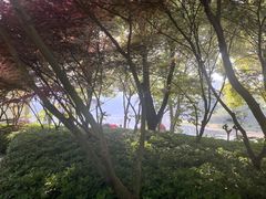 -苏州环秀晓筑养生度假村