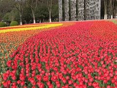 -上海鲜花港