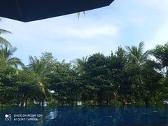 -三亚湾海居铂尔曼度假酒店