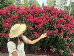 -杭州城北体育公园