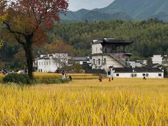 -塔川景区