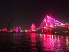 -武汉两江游览·夜游长江(汉口粤汉码头)