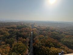 -灵谷景区