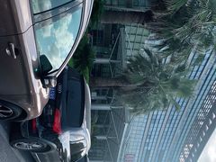 -上海中医药大学附属曙光医院(东部)