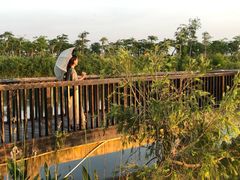 -芒洲湿地公园