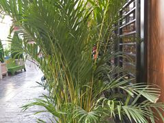-摩欧客意式餐厅(高新活力汇店)