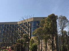 -成都蒲江花样年福朋喜来登度假酒店·宜客乐西餐厅