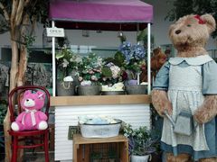 -济州岛泰迪熊博物馆