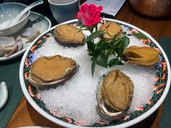 手工冰镇鲍鱼-木棉·醉心粤味(COCO Park店)