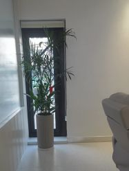 -魔型社烫染店