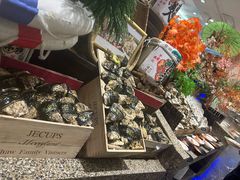 -初色海鲜自助(万丰路店)