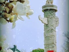 -国家图书馆·古籍馆