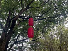 -石台牯牛降景区