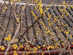 -狼山风景名胜区