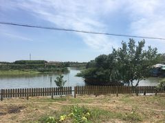 -美家乐农庄·露营·团建(大治路店)