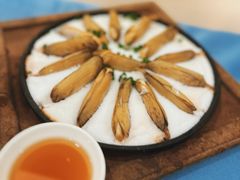 盐烤蛏子-阿毛饭店(和义路店)