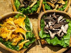 -滇野云南野生菌餐厅(陕西南路店)