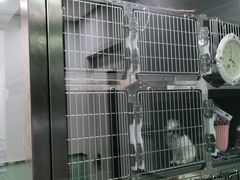 -宠福鑫康馨动物医院·骨科·眼科