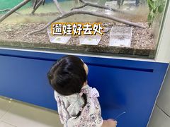 -上海昆虫博物馆