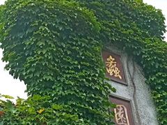 -无锡蠡湖国家湿地公园-蠡园