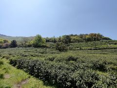 -缥缈峰景区