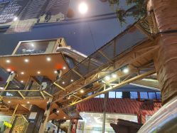 -卡通尼·Safari非洲探索乐园·生日会(金桥国际商业广场店)