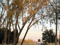 -汉长安城未央宫国家考古遗址公园