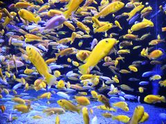 -成都浩海立方海洋公园