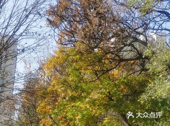 生活在如此优美的环境中好幸福