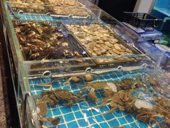 -九月海·海鲜自助(世纪东方店)