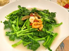 上汤板蓝根-中山市绿华园食府