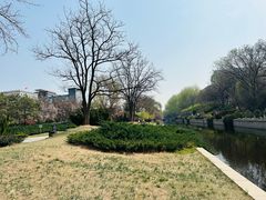 -元大都城垣遗址公园