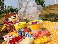 -上海长兴岛郊野公园