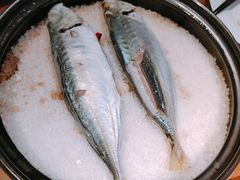 -CHIC1699远洋私厨
