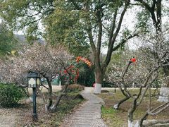 -白马涧龙池景区