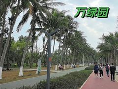 -万绿园