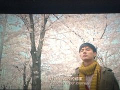 -南宁时代电影大世界(CGS激光中国巨幕)