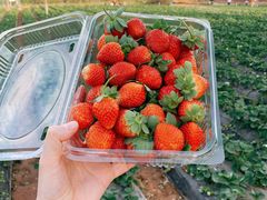 -任达丞国农庄(任达山庄店)