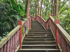 -南山植物园