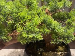 -百富源·海鲜辽菜(和平北大街店)