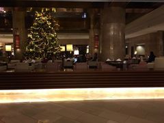 -东京希尔顿酒店