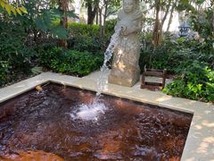 -苏州湾·王焰温泉