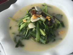 -云中小雅