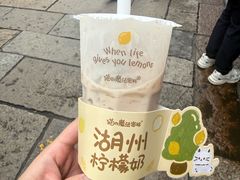 -猫的魔法密林(衣裳街店)