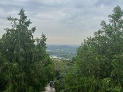 -北京西山国家森林公园