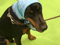 -木渎影视城
