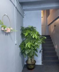 -王子公主儿童摄影(横岗地铁站店)