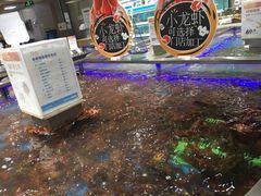 -盒马鲜生(财富中心店)